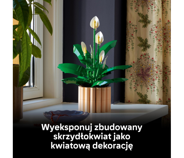 LEGO BOTANICALS 11504 Skrzydłokwiat - 1473410 - zdjęcie 8